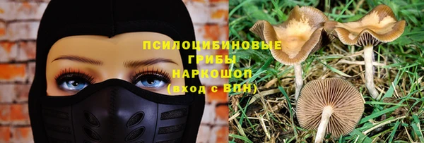 a pvp Сосновоборск