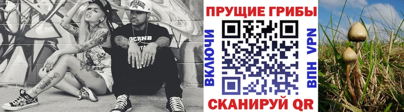 Галлюциногенные грибы MAGIC MUSHROOMS  OMG ссылка  Маркс 